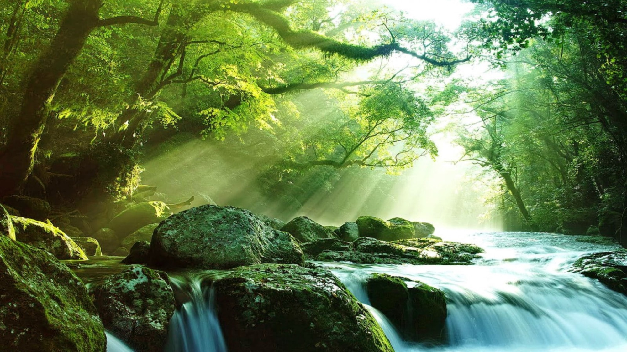 Light through rainforest over a waterfall